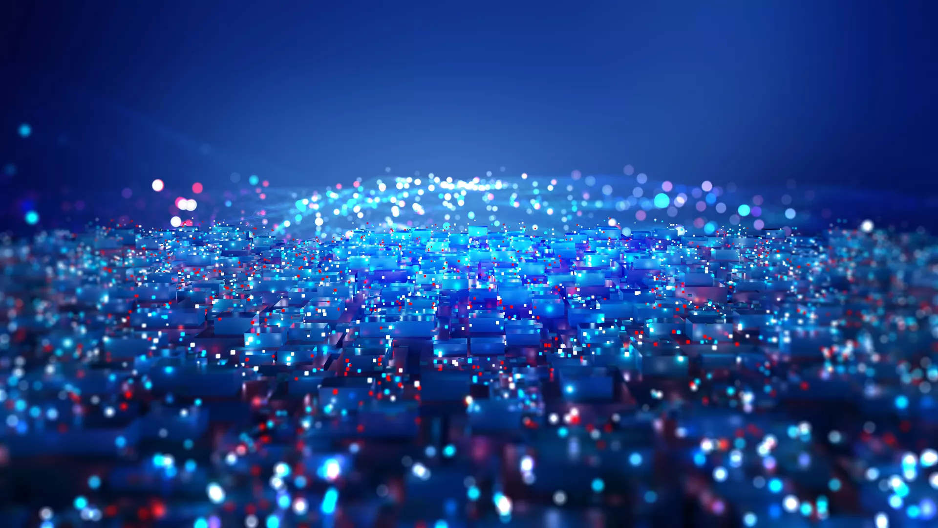 AI content detection in educational institutions