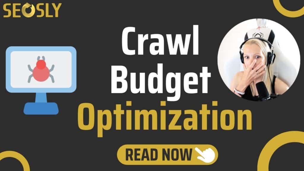 crawl-budget-optimization-1-1024x576.jpg