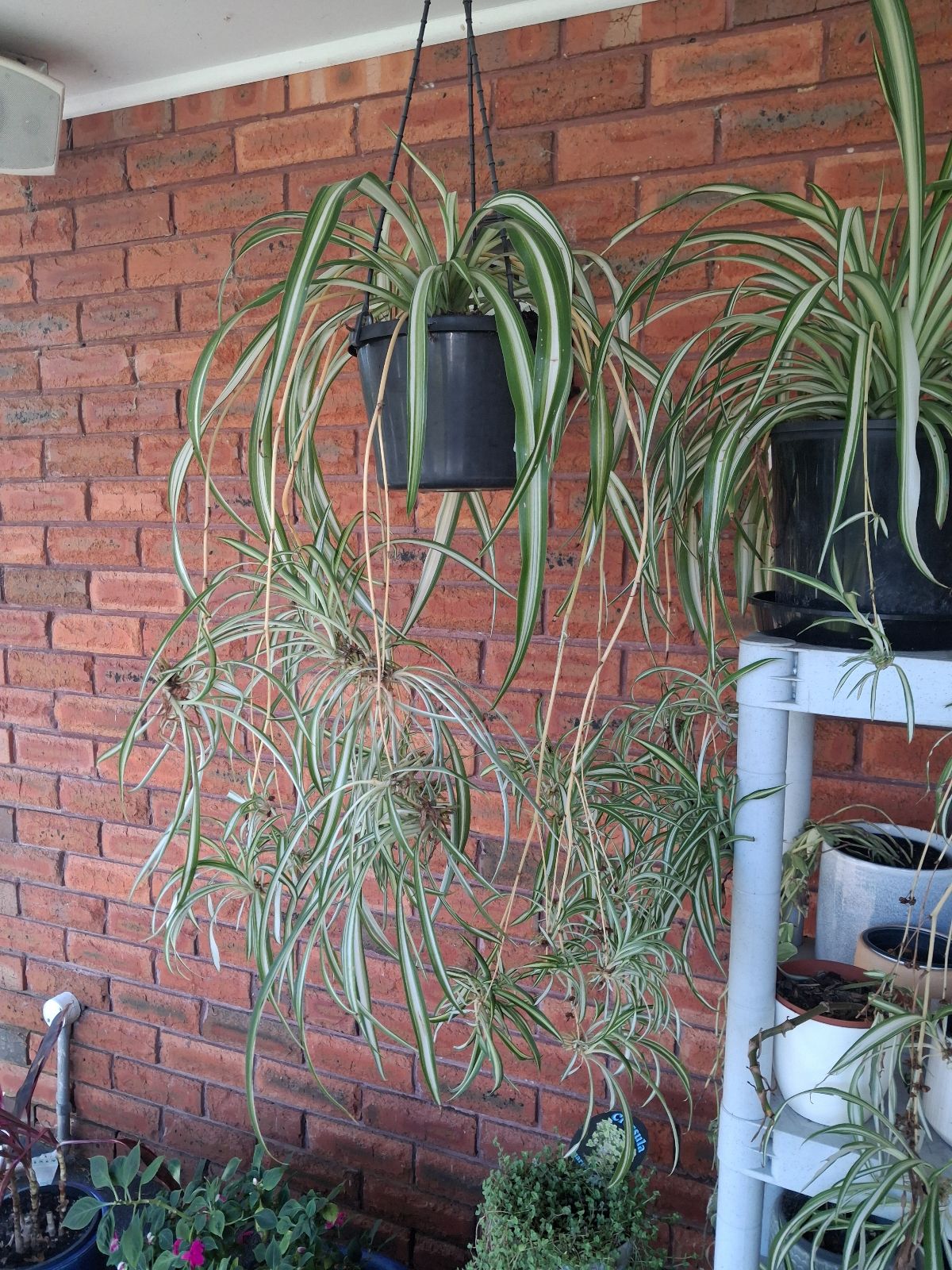 Web Design with Clean Layout and Good Typography